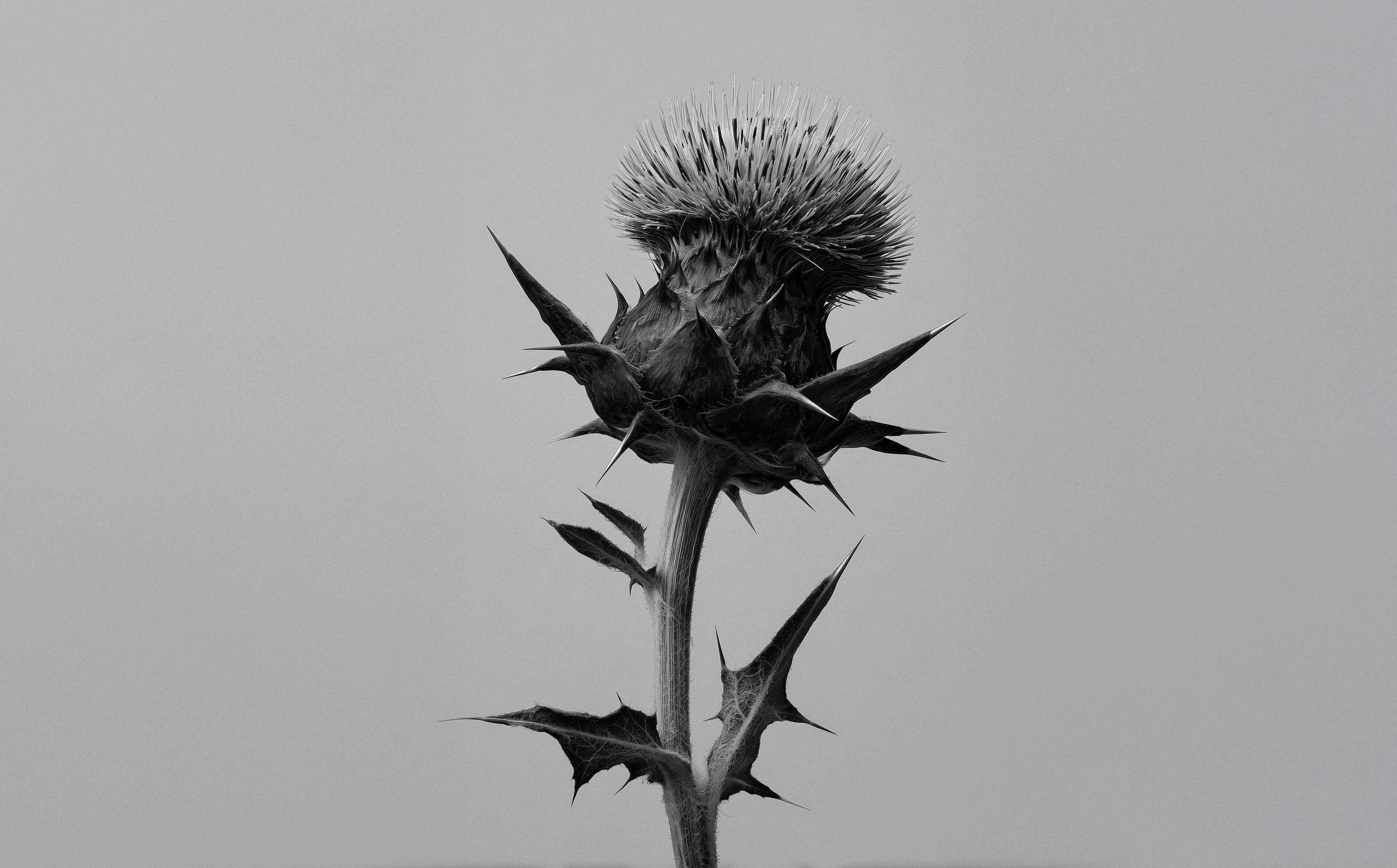 Made for life – Not seasons